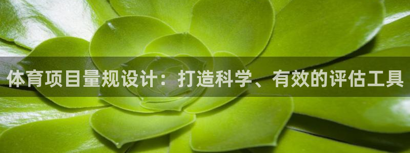 星欧娱乐雀V是什么平台