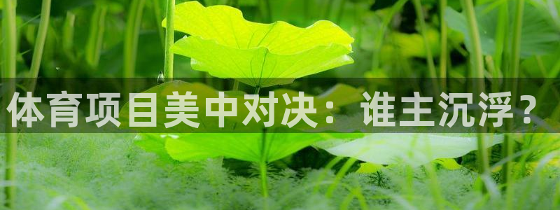 星欧娱乐属于什么档次的公司啊