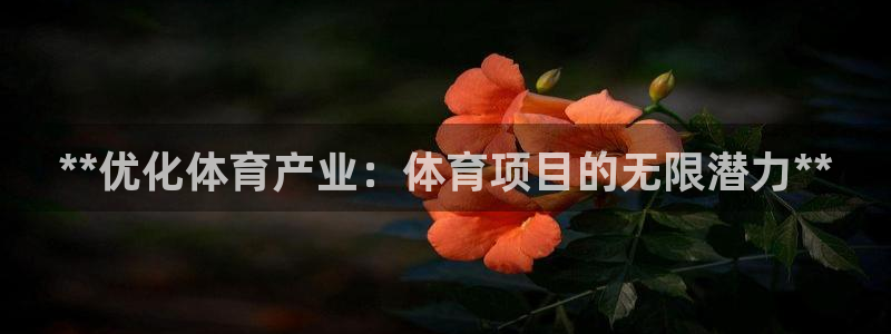 星欧娱乐是正规平台吗可靠吗