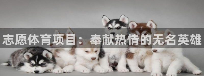 星欧娱乐彩票软件下载安装