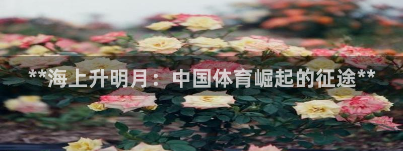 星欧娱乐扣款流程详解图片