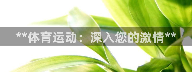 星娱乐彩票网