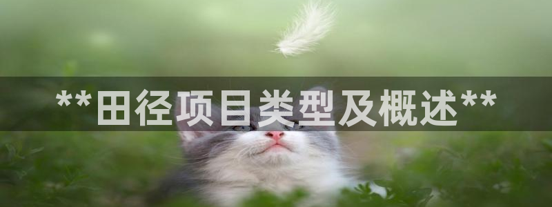 星欧娱乐是正规平台吗安全吗知乎