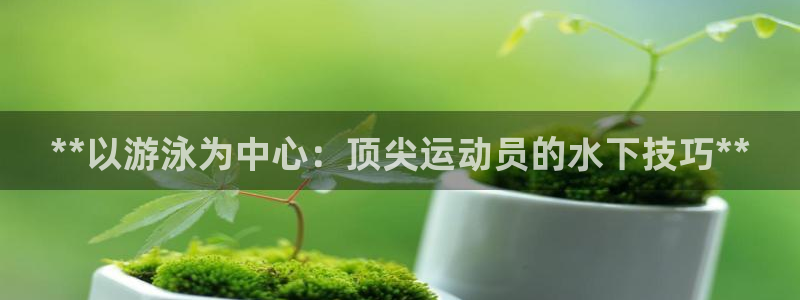 星欧娱乐联游戏评测