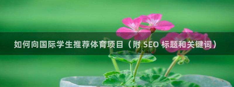 星欧娱乐扣款流程详解图