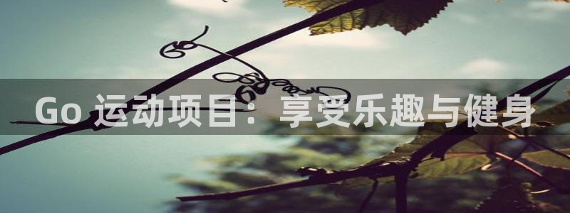 星娱乐包月是干嘛的