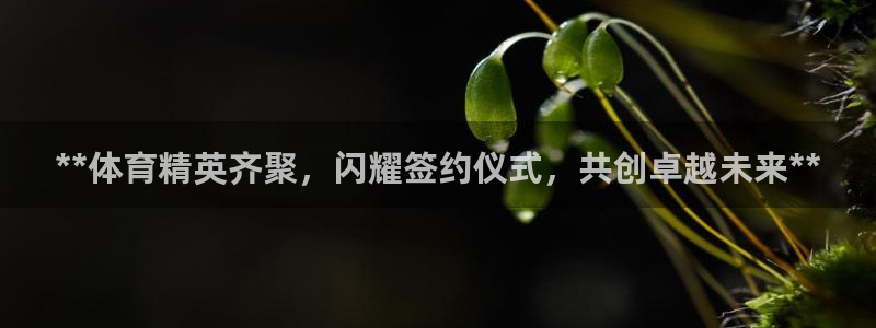 星欧娱乐彩票软件下载安装