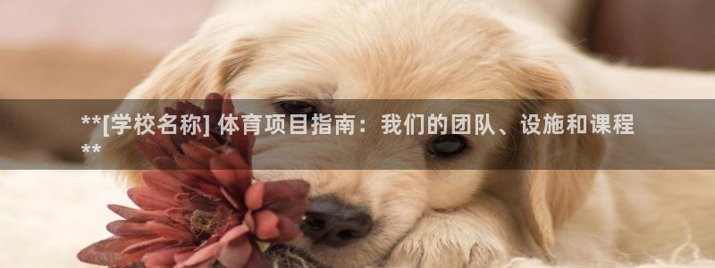 星欧娱乐公司地址