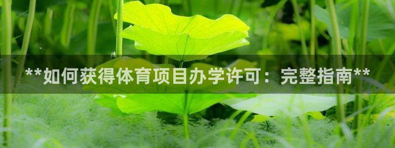 星澳娱乐公司地址