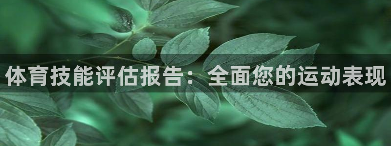 星欧娱乐属于什么档次