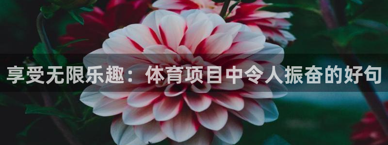 星欧娱乐公司怎么样
