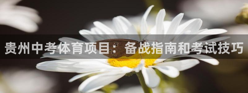 星澳娱乐公司简介