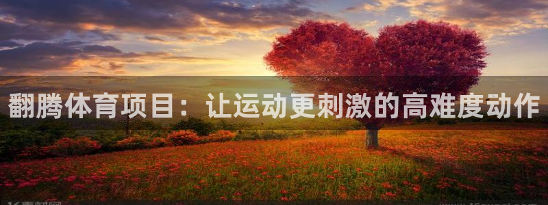 星欧娱乐扣款时间查询方法怎么查不到