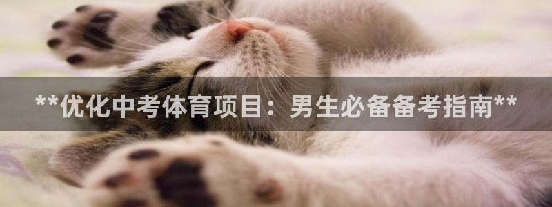 星娱乐online音乐