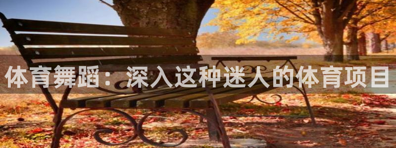 星澳娱乐公司简介