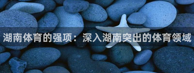 星欧娱乐扣款时间查询方法