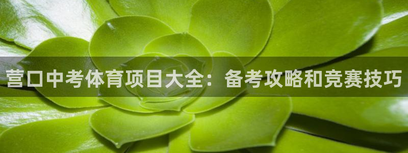 星欧娱乐最建议买的三个游戏是什么