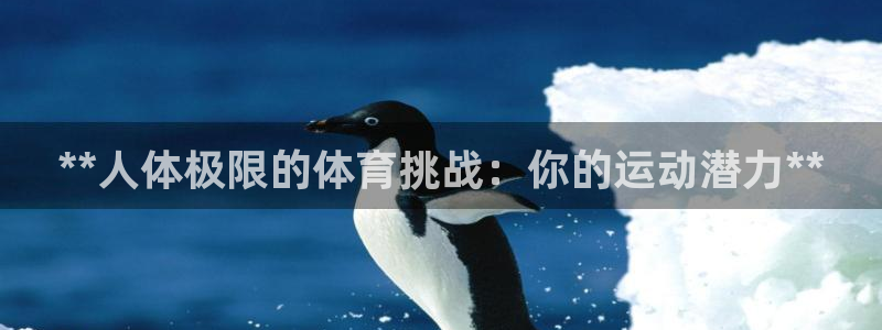 星娱乐文化传媒有限公司