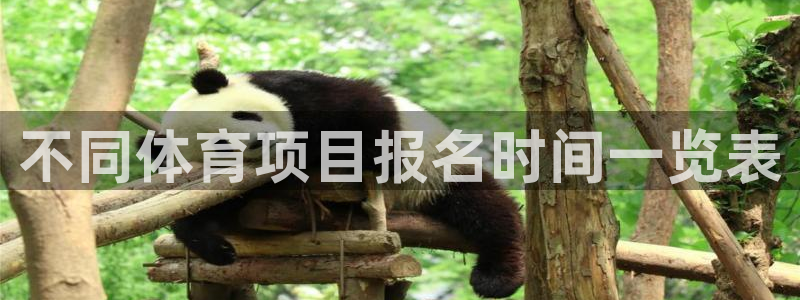 星欧娱乐的创始人背景故事