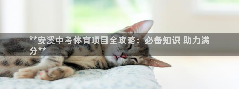 星欧娱乐属于什么档次的软件