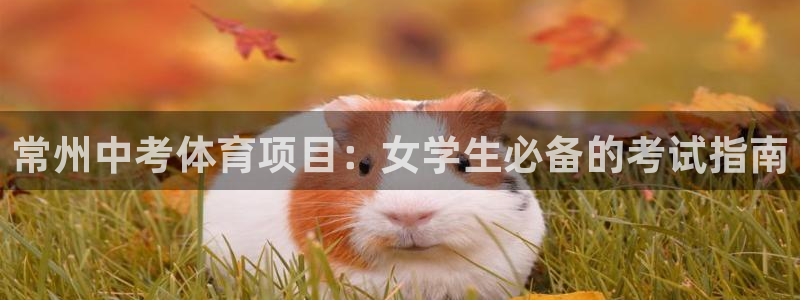 星欧娱乐公司创始人背景故事是什么