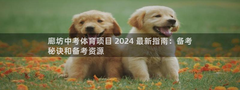 星娱乐online刘亦菲