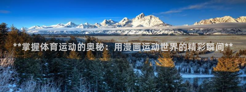 星欧娱乐平台测速线路怎么设置