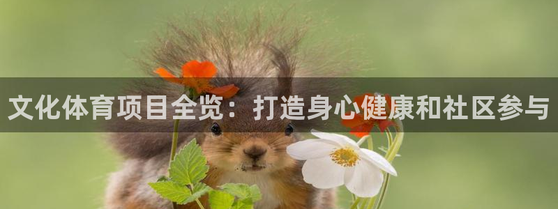星欧娱乐公司电话号码多少