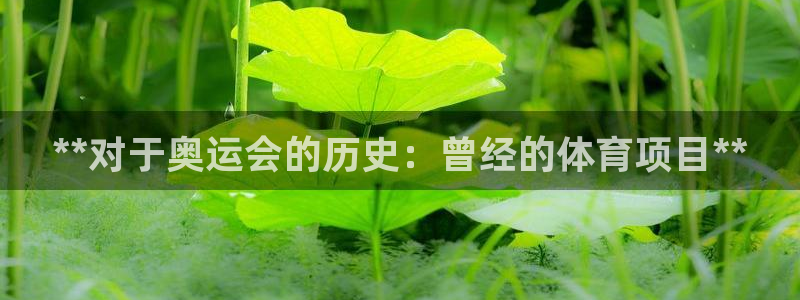 星欧娱乐v8.0.3最新版本更新内容介绍