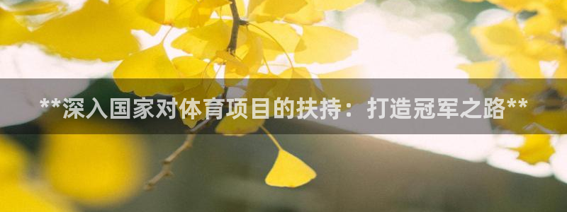 星欧娱乐扣费处理方法