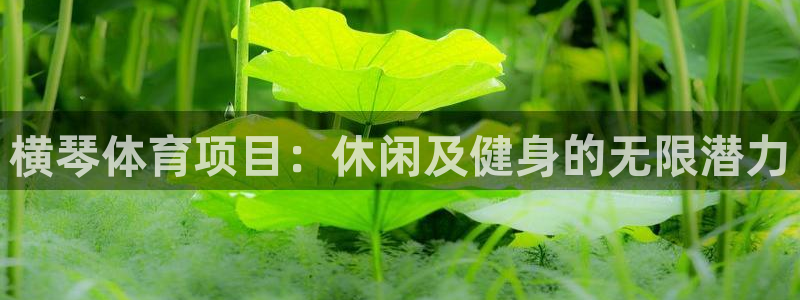 星欧娱乐公司创始人背景故事介绍