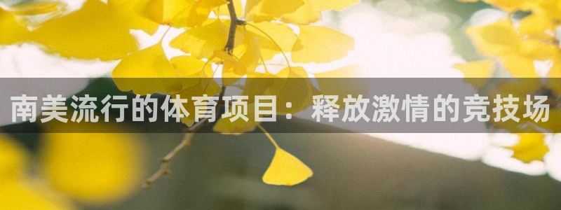 星娱乐文化传媒有限公司