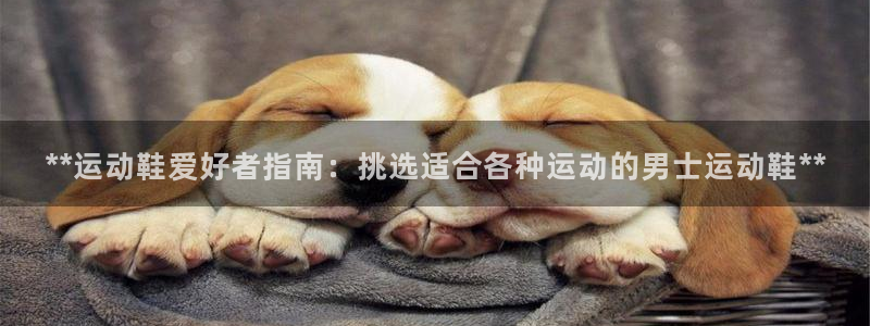 星欧娱乐扣款流程详解视频教程