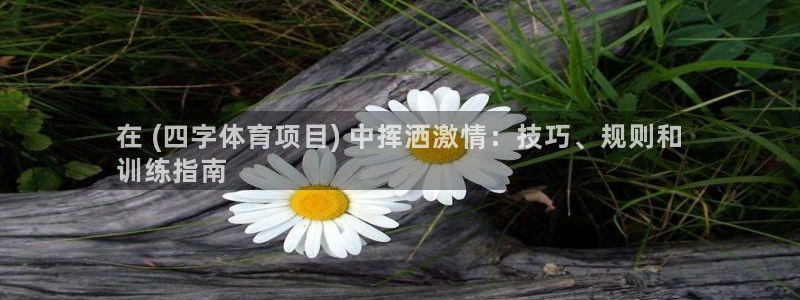 星欧娱乐平台过7O777