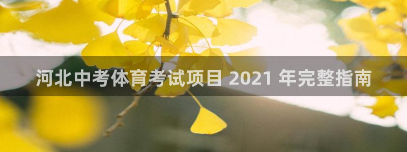 星欧娱乐扣款时间查询方法怎么查的
