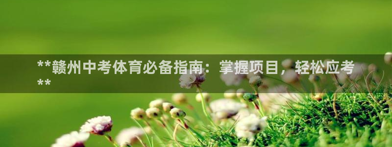 星欧娱乐退款流程详解