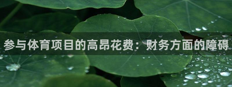 江苏星奥娱乐有限公司招聘
