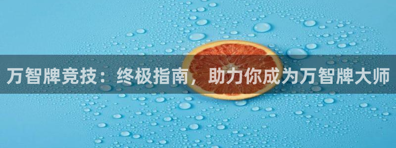 星欧娱乐公司