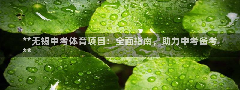 星娱乐文化传媒有限公司