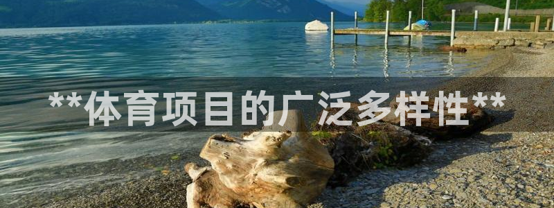 星欧娱乐联售后服务评价