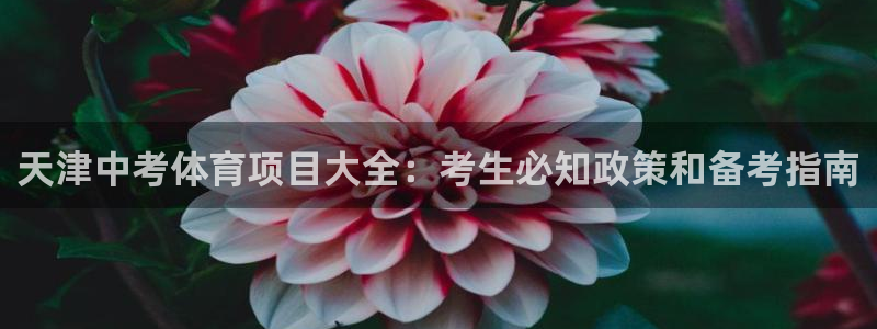 星欧娱乐挂机赚钱是真的吗