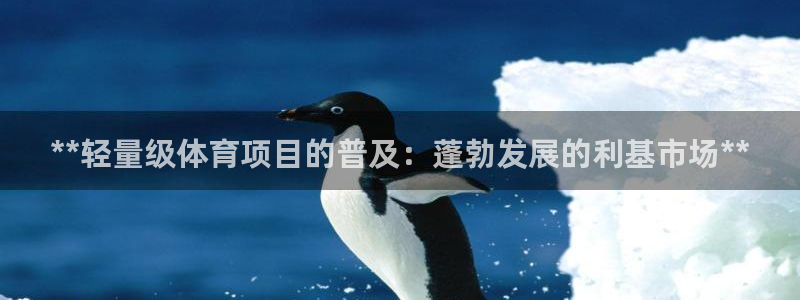 星欧娱乐扣款时间查询方法是什么