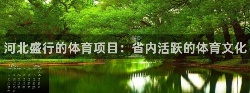 澳星国际娱乐集团