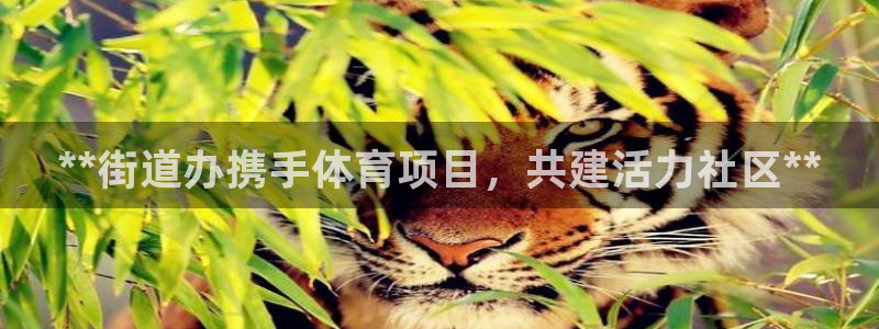 星欧娱乐测速怎么样