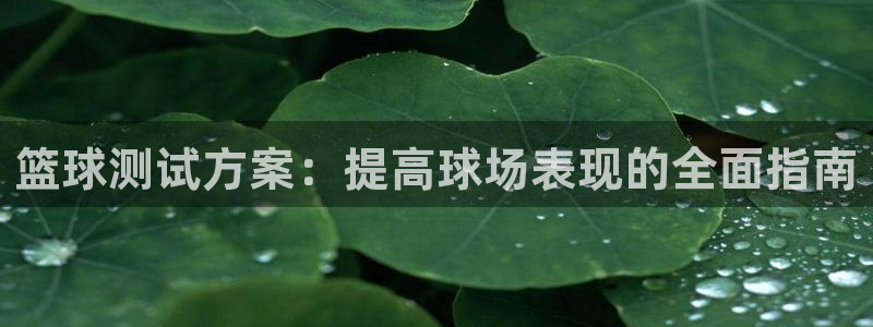 星欧娱乐公司地址