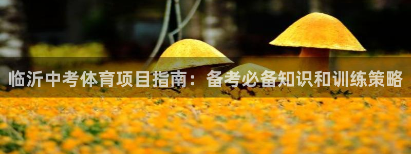 星欧娱乐联游戏评测