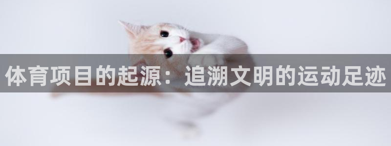 星欧娱乐公司创始人背景故事介绍