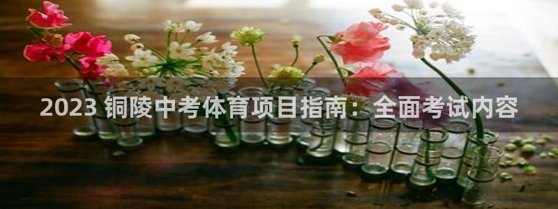 星澳娱乐公司