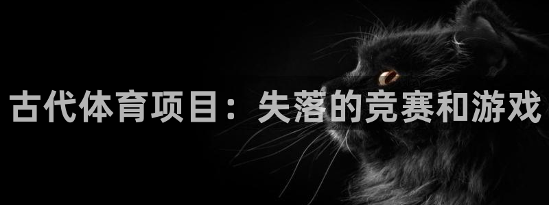 星奥娱乐集团怎么样