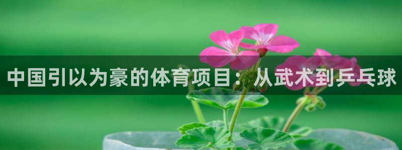 星欧娱乐官网